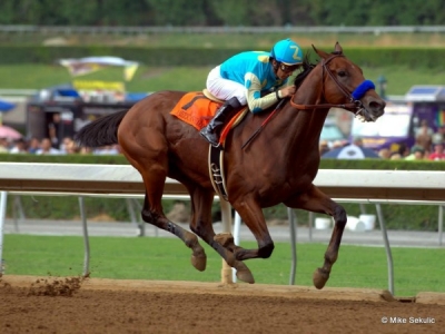 American Pharoah Wins the Triple Crown